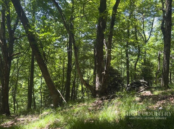 Grandview Dr. Extension, Boone, NC 28607