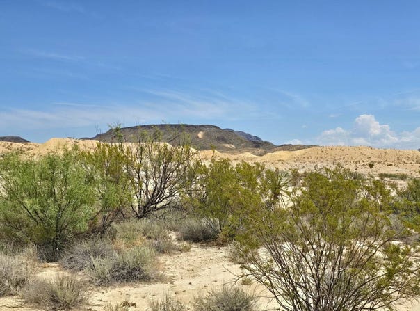 151 Herman's Draw, Terlingua, TX 79852