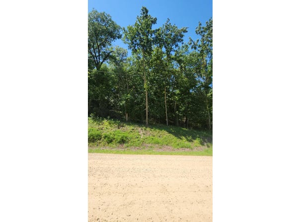Cedar Beach Drive NW, Oronoco, MN 55960