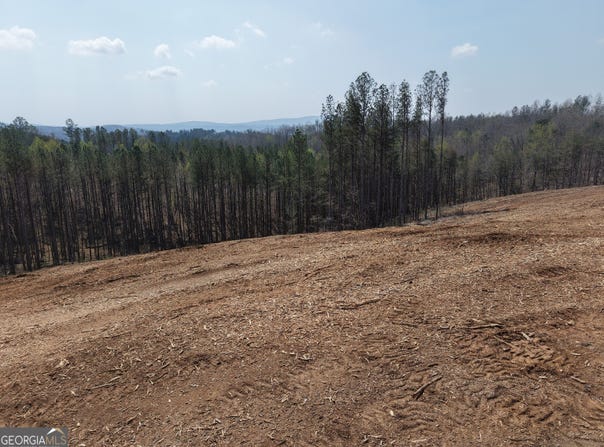 505 Young Loop, Fairmount, GA 30139