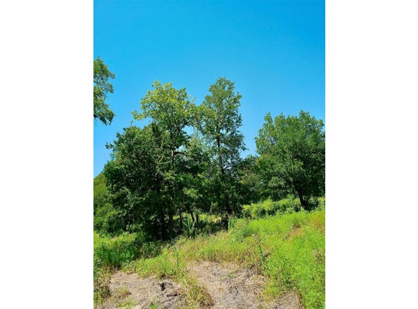 Serenity Dr lot: 22, Bertram, TX 78605