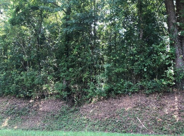 State St.Lot 43, LAUREL, MS 39440