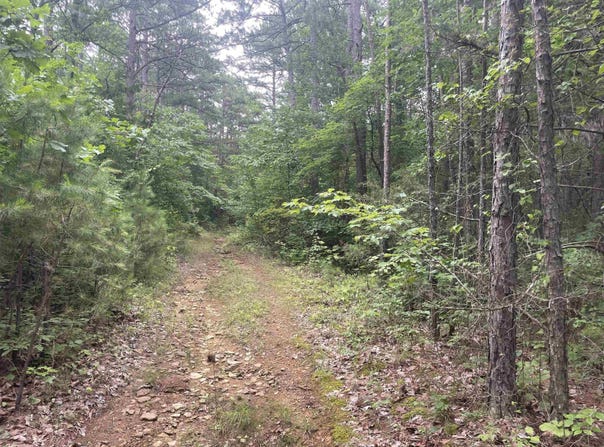 Sylvan Lane, Clinton, AR 72031