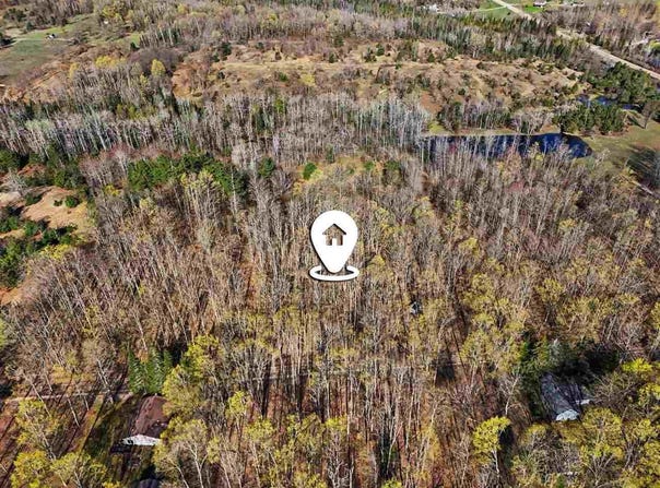 13200 Congdon Road, Wolverine, MI 49799