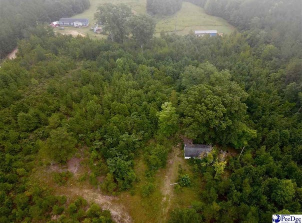 96 Pine Tree Ln, Chesterfield, SC 29709