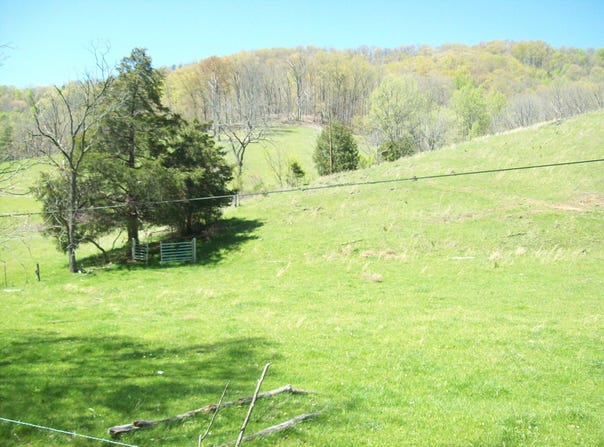 2812 Rebel Hollow Road, Tazewell, TN 37879