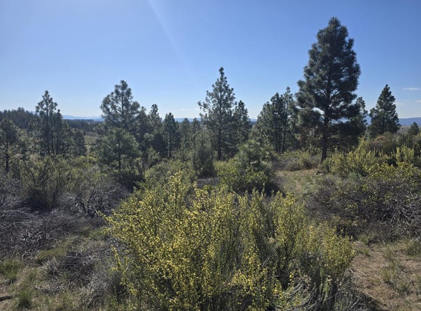 Cote Canyon, Sprague River, OR 97639