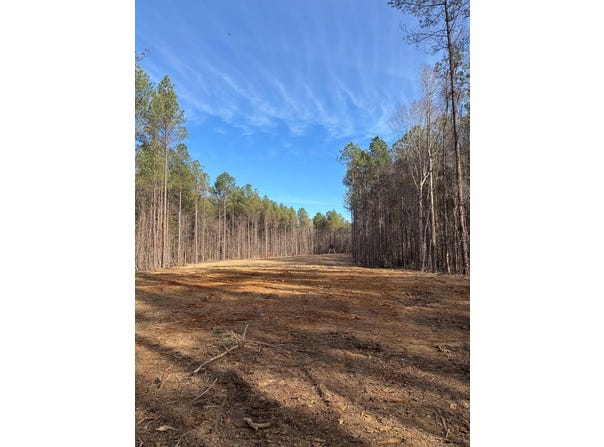 County Road 311, CALHOUN CITY, MS 38916