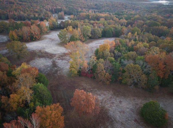 Black Hill Road, Bee Branch, AR 72013