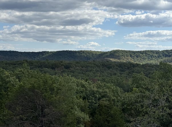 Mannon Road, Ava, MO 65608