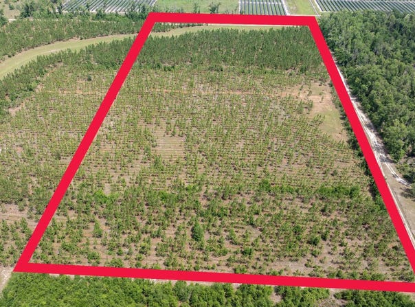 199TH PL E SIDE), Live Oak, FL 32060
