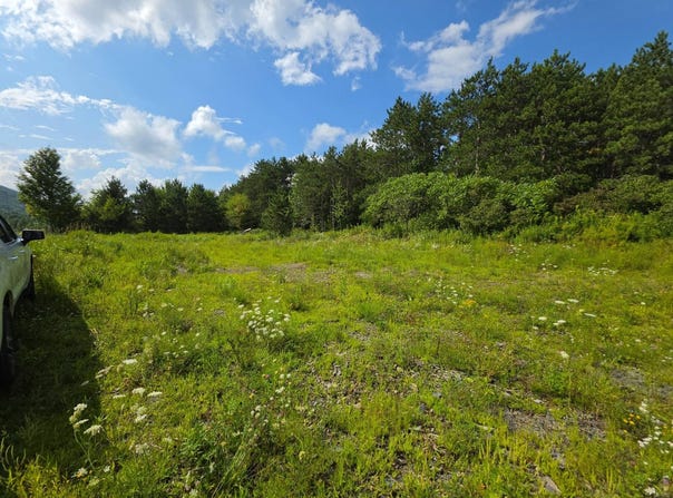 0WP Route 221, Lapeer, NY 13803