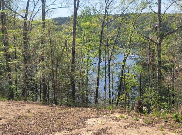 458 CO RD 4036, Arley, AL 35541