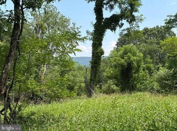 FOX RUN lot: 24A 3.22 Ac, BAKER, WV 26801