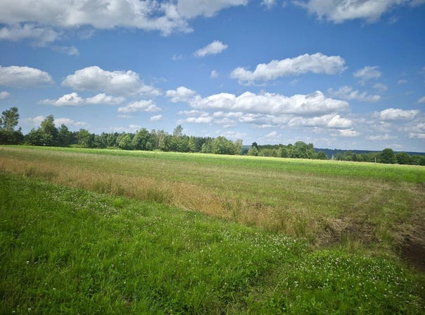 Webster Street, Malone, NY 12953