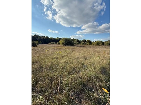 V/L Industrial Park Drive, Greenville, MI 48838