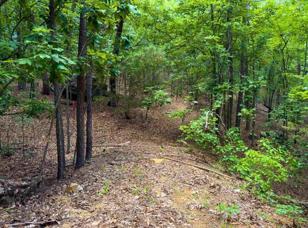 Ember Road, Shirley, AR 72153