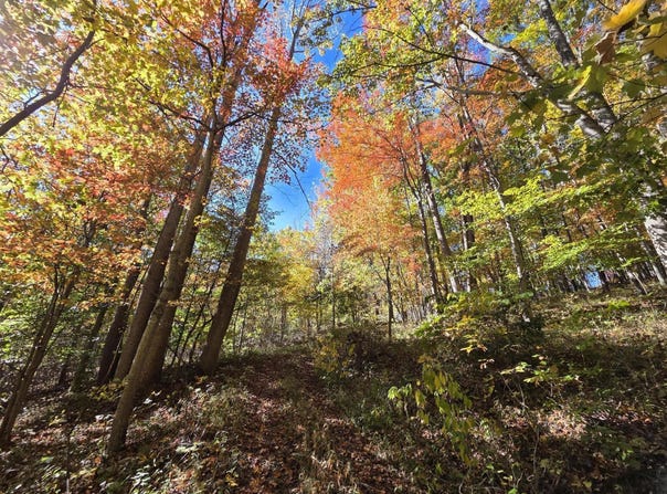 Iris Lane, Peterstown, WV 24963