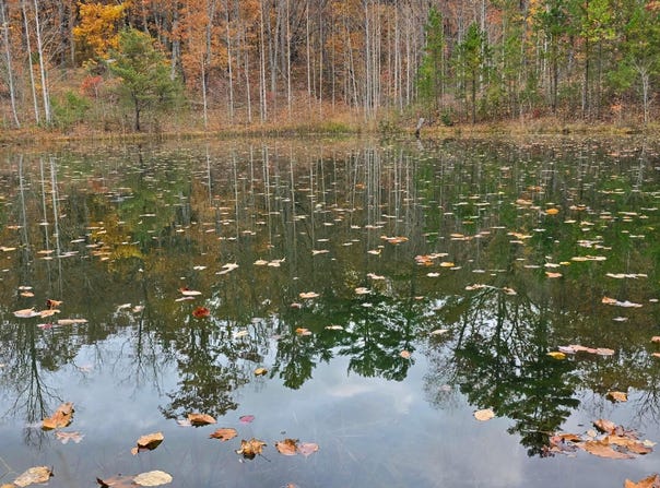 Bob Cat Trail, Dunlap, TN 37327