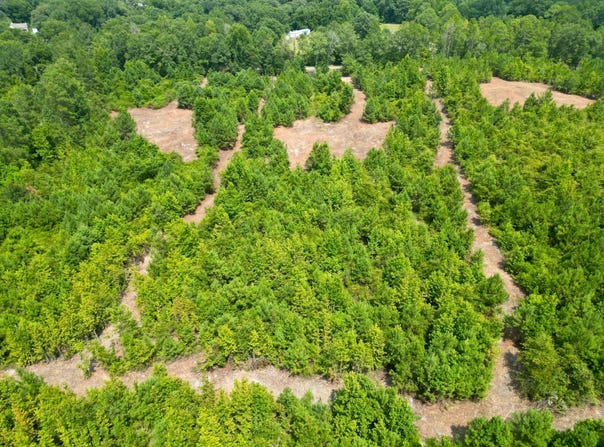 02 Count Road 1174, Goshen, AL 36079