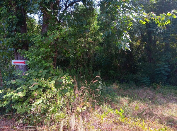 Private Road, Carthage, TX 75633