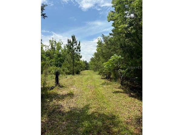 459 COUNTY ROAD 2006 E, BUNNELL, FL 32110