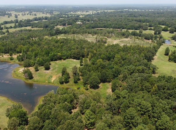 583-C County Road 3324, Omaha, TX 75571