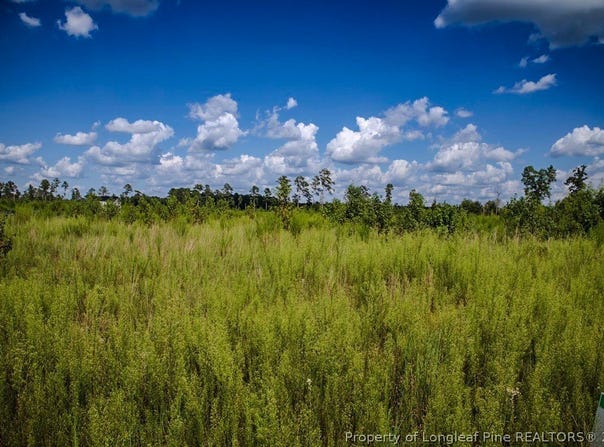 Tract 15 Mitchell Road, Fairmont, NC 28340