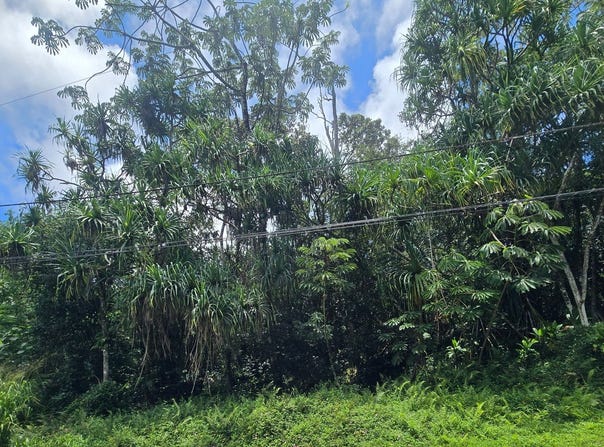 NENUE ST, Pahoa, HI 96778