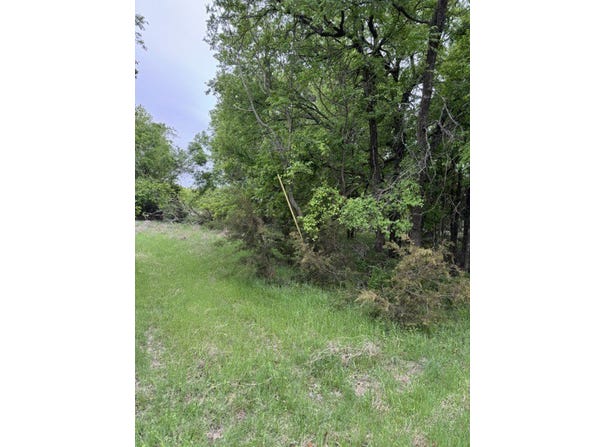 17082 Faircrest Drive, Whitney, TX 76692