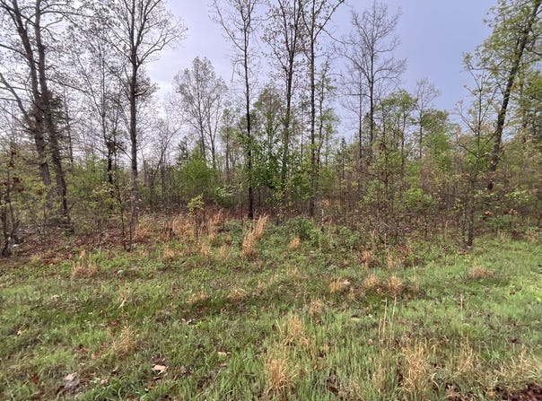 Lake Way lot: 9, Winona, MO 65588
