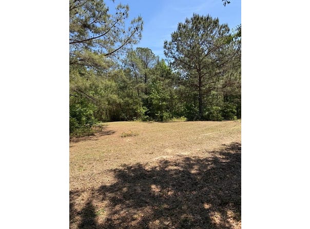 County Road 50, Abbeville, AL 36310