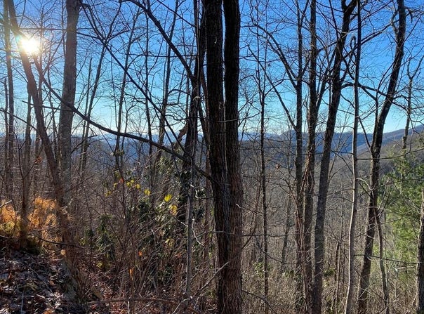 Hickory Nut Trail lot: 63, Sylva, NC 28779