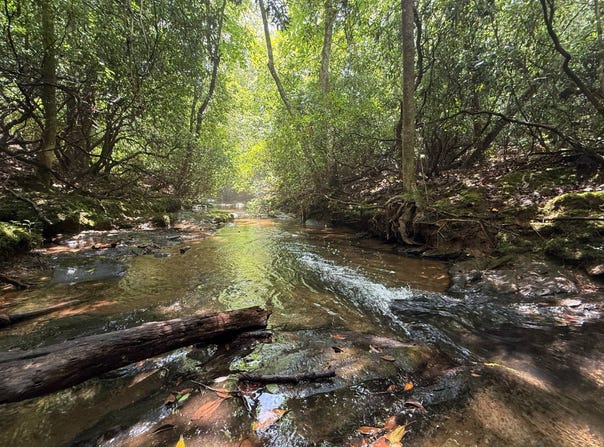 County Road 310, Roanoke, AL 36274
