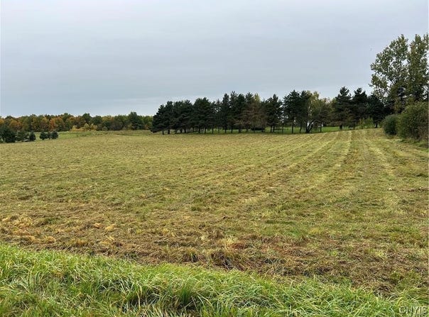 Plank Road, Calcium, NY 13616