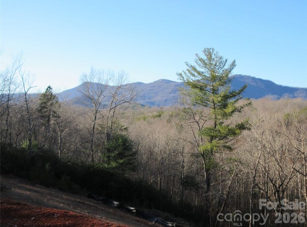 Levi Road, Columbus, NC 28722