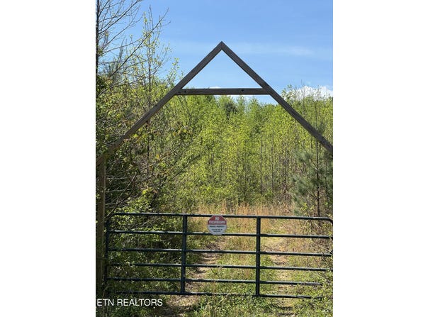 Coon Hollow Rd, Sunbright, TN 37872
