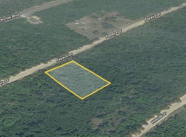 Papaya Drive, Marianna, FL 32448