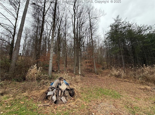 25 Pinson Drive, Winfield, WV 25213