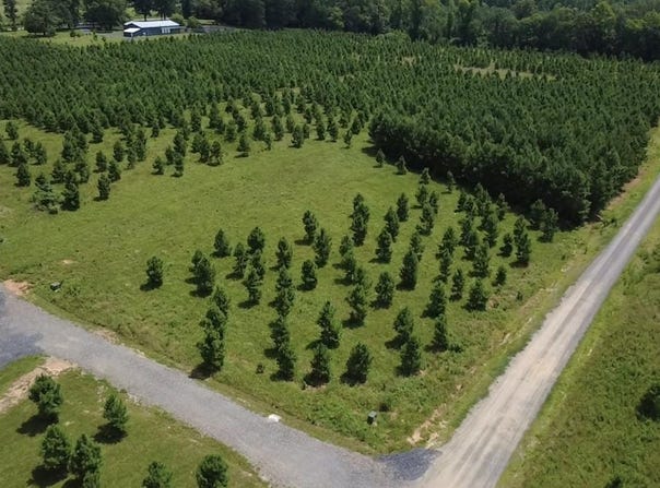Serenity Ln, Mena, AR 71953