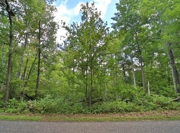 Terminal Rd, Breezy Point, MN 56472