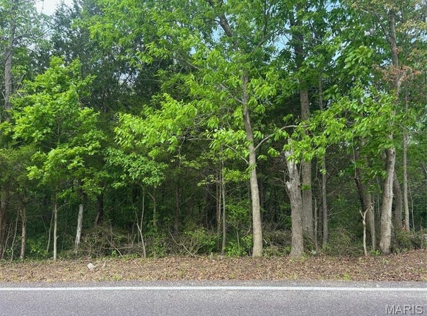 3392 Lynch Rd, Pacific, MO 63069