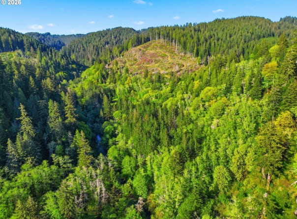 Upper N Ford Rd, Florence, OR 97439