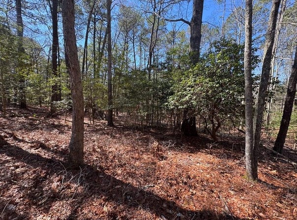 BUCCANEER BLVD lot: 1897, GREENBACKVILLE, VA 23356