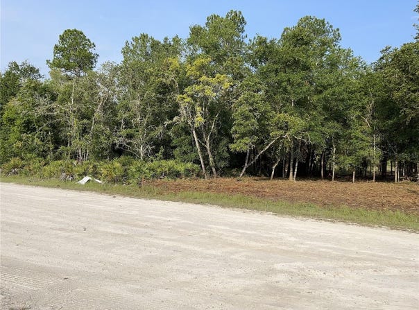 7123 GLENCHESTER Drive, WEBSTER, FL 33597