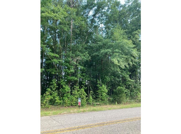 Co Rd 5509, TROY, AL 36081