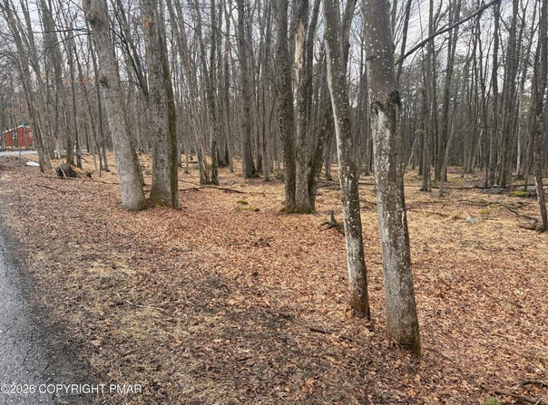 Masters Trail, Albrightsville, PA 18210