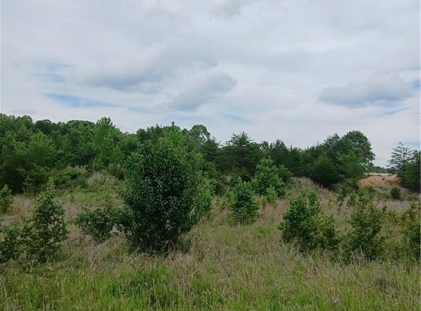 1133 Springfield Road, High Point, NC 27263
