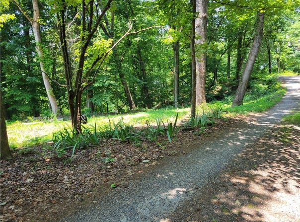 Fox Fire Road, Central, SC 29630