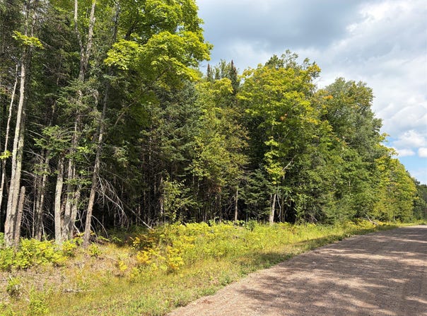 On Schwilk Road, Glidden, WI 54527